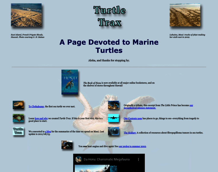 Turtles.org thumbnail