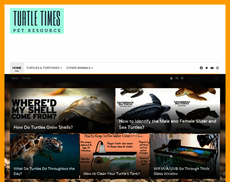 Turtletimes.com thumbnail