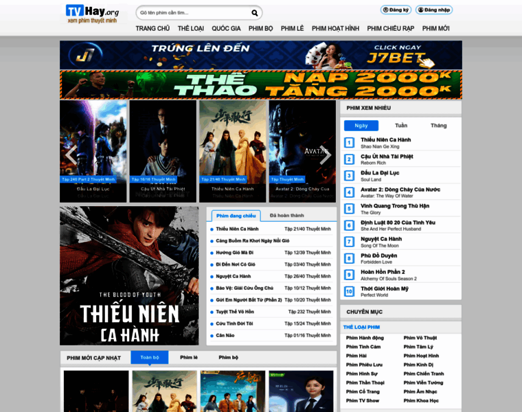 Tvhayyy.org thumbnail