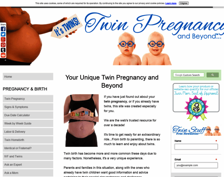 Twin-pregnancy-and-beyond.com thumbnail