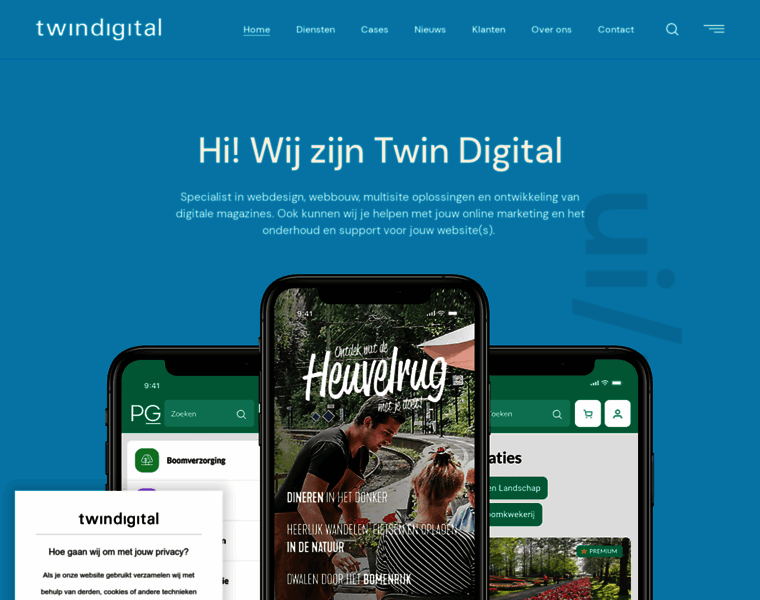 Twindigital.nl thumbnail