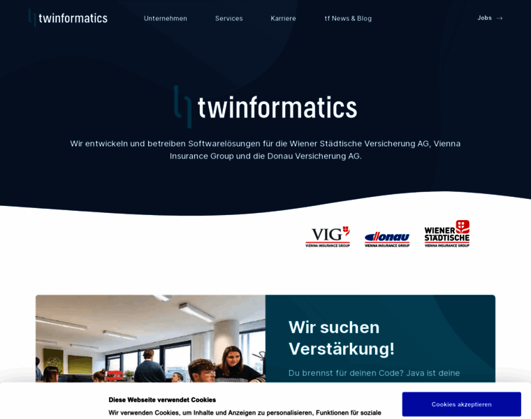 Twinformatics.at thumbnail