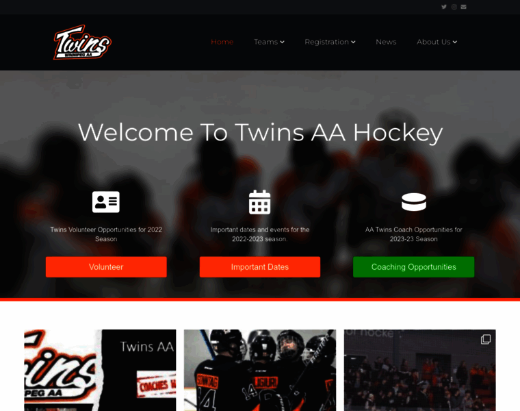 Twinsaahockey.com thumbnail