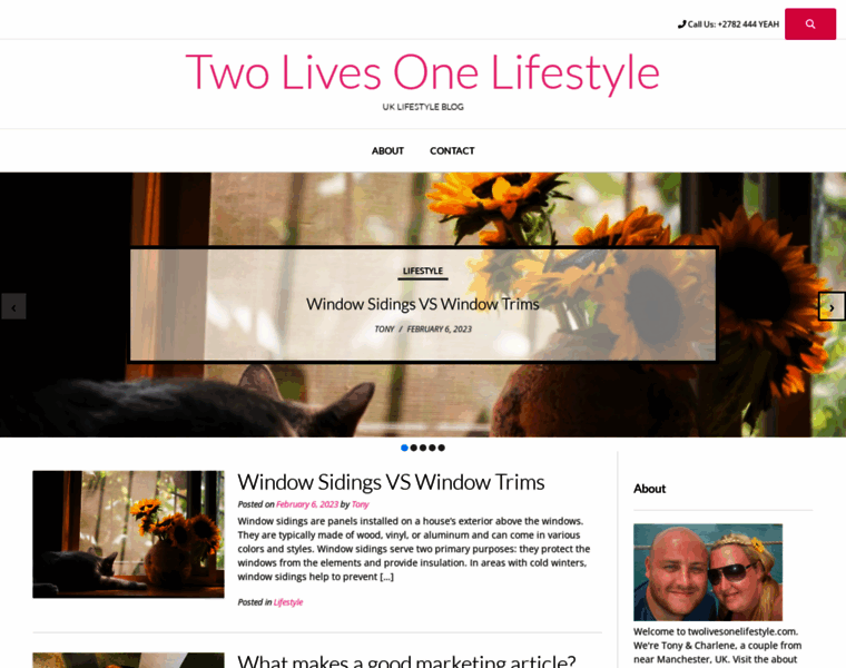 Twolivesonelifestyle.com thumbnail