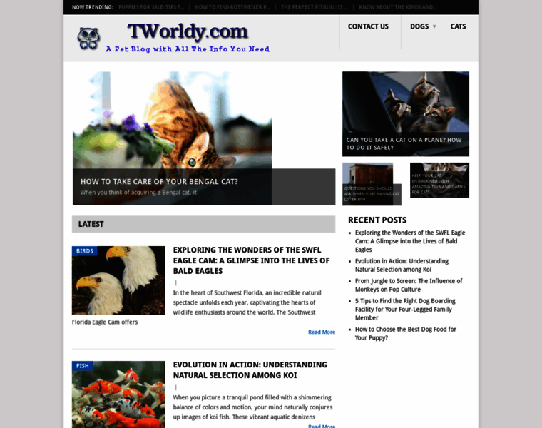 Tworldy.com thumbnail