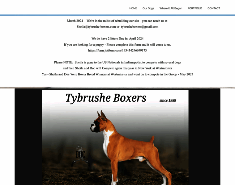 Tybrushe-boxers.com thumbnail