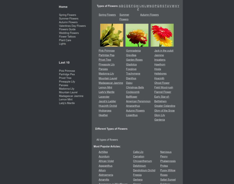 Types-of-flowers.org thumbnail