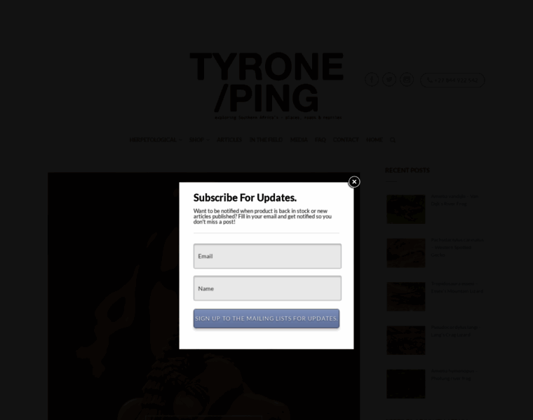Tyroneping.co.za thumbnail