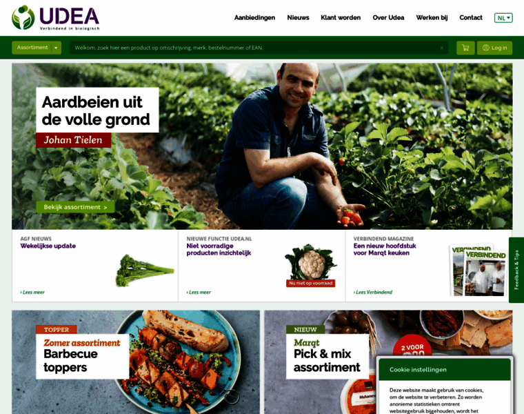 Udea.nl thumbnail