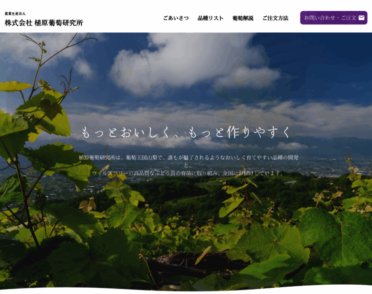 Uehara-grapes.jp thumbnail