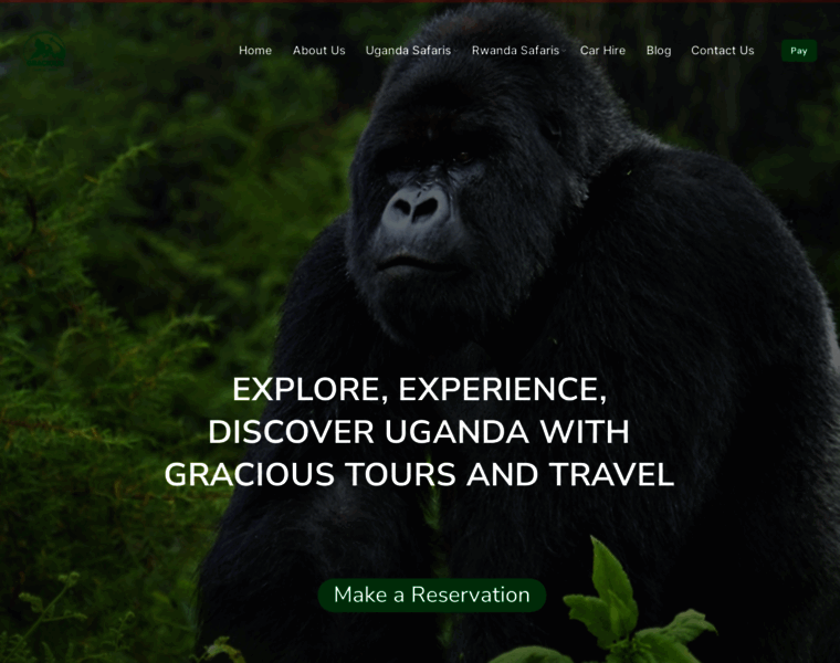 Ugandasafari-tours.com thumbnail