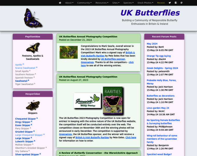 Ukbutterflies.co.uk thumbnail