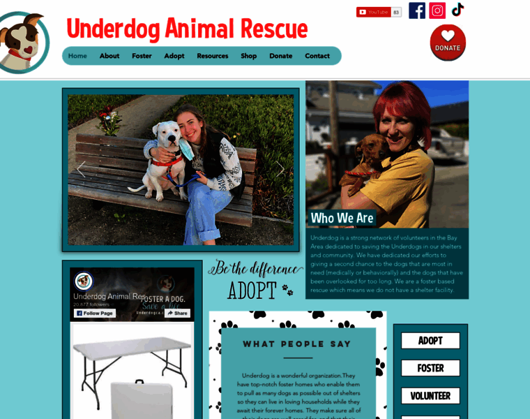 Underdogca.com thumbnail