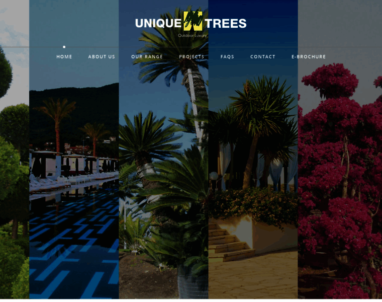Uniquetrees.in thumbnail