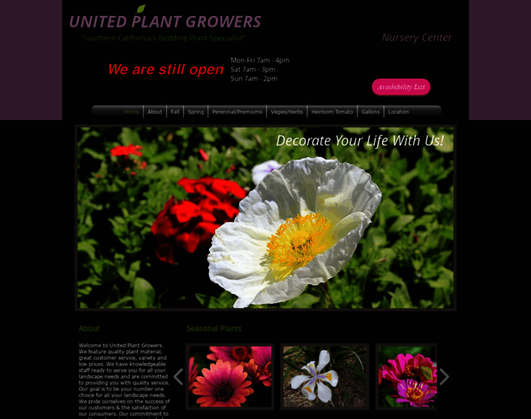 Unitedplantgrowersnursery.com thumbnail