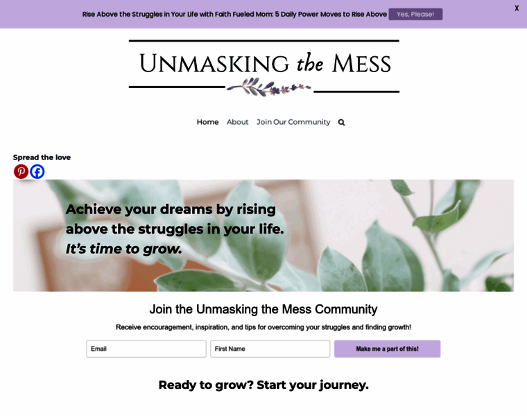 Unmaskingthemess.com thumbnail