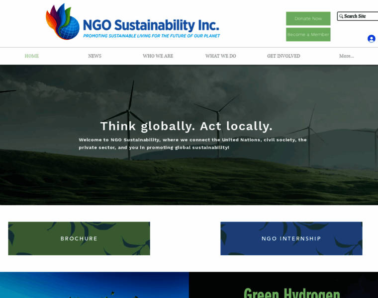 Unngosustainability.org thumbnail