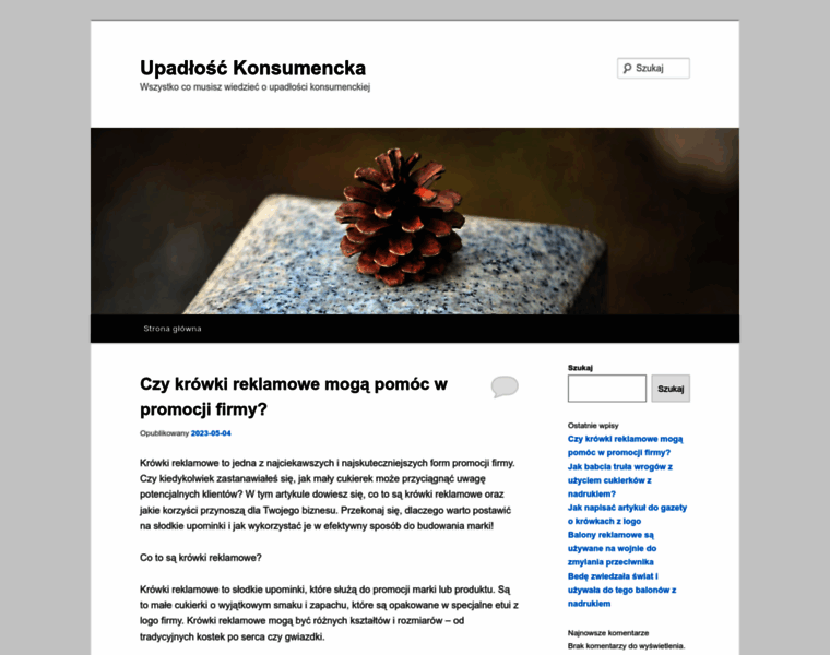 Upadlosc.edu.pl thumbnail