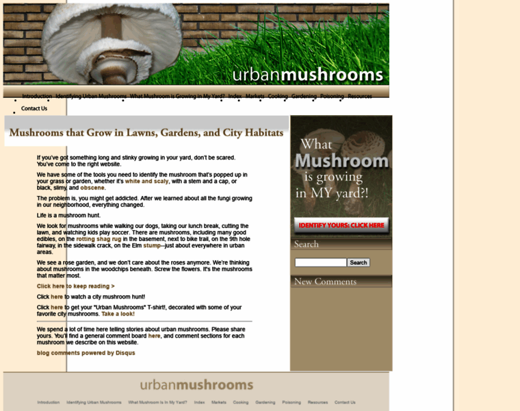 Urbanmushrooms.com thumbnail