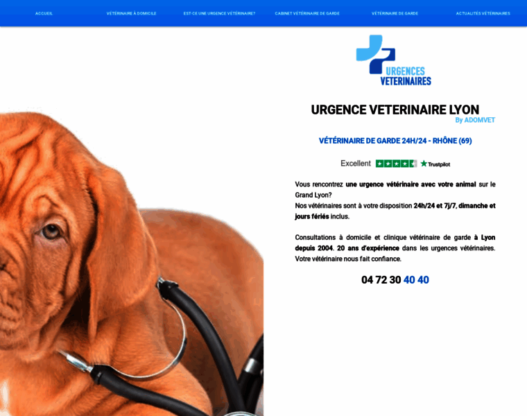 Urgences-veterinaires-lyon.fr thumbnail
