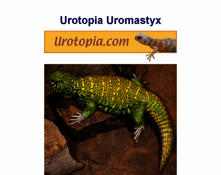 Urotopia.com thumbnail