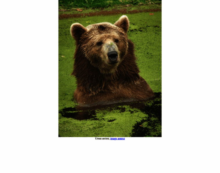 Ursus.pl thumbnail
