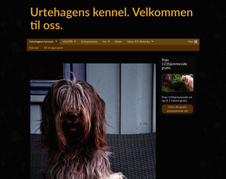 Urtehagens-kennel.com thumbnail