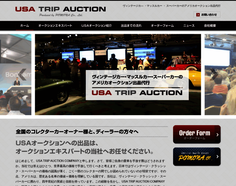 Usa-trip-auction.net thumbnail