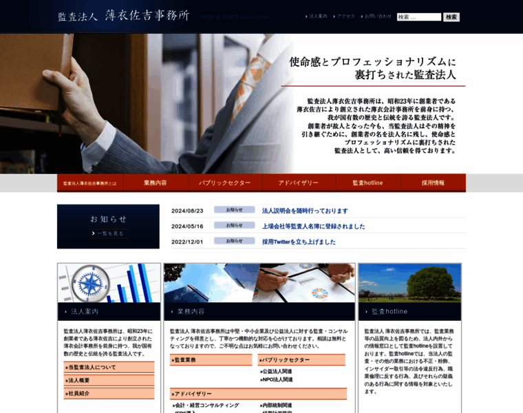 Usugiaudit.or.jp thumbnail