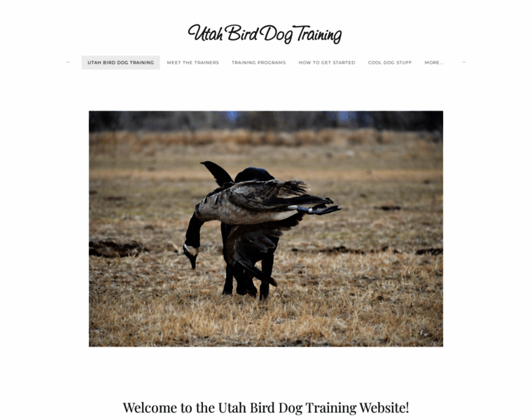 Utahbirddogtraining.com thumbnail