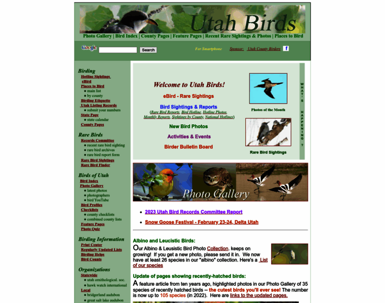 Utahbirds.org thumbnail