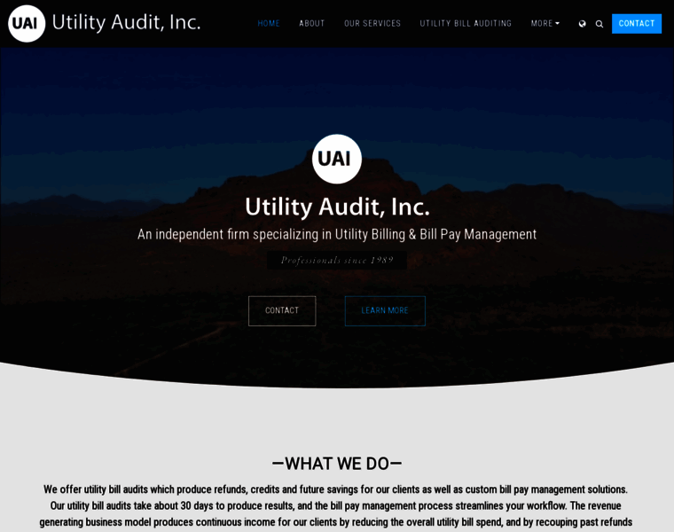 Utility-audit.com thumbnail
