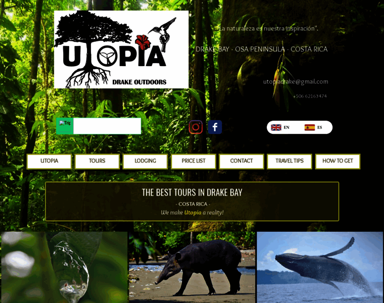 Utopiadrakeoutdoors.com thumbnail