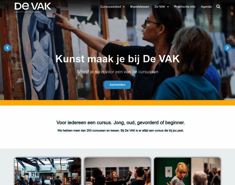 Vak-delft.nl thumbnail