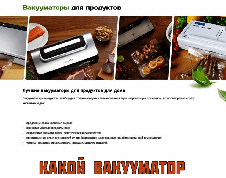 Vakuumatory-dlya-produktov.ru thumbnail