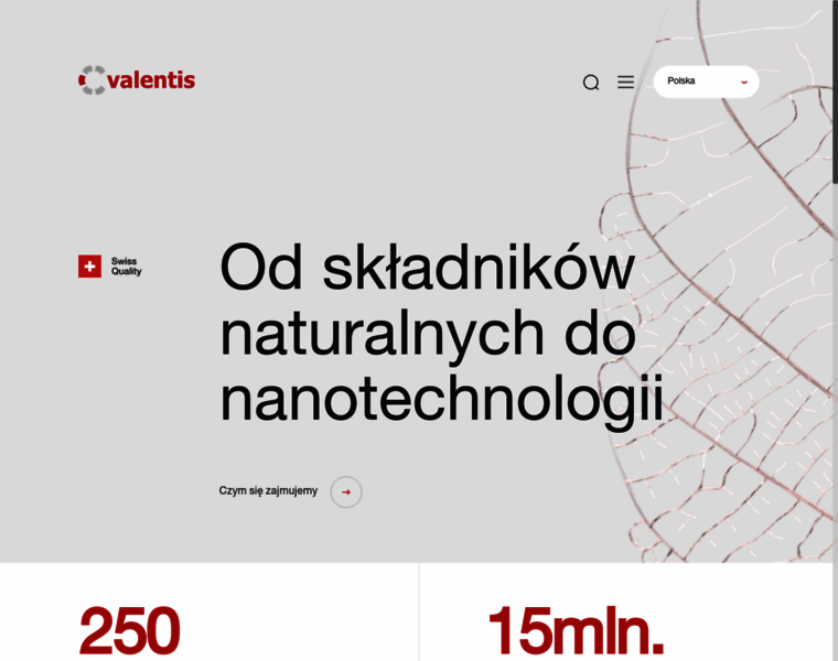 Valentis.pl thumbnail