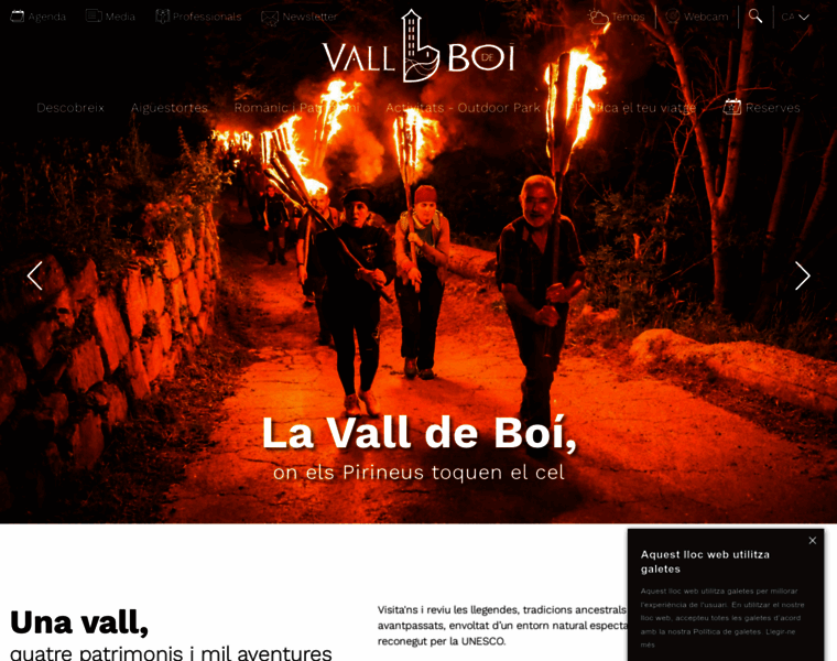 Vallboi.cat thumbnail