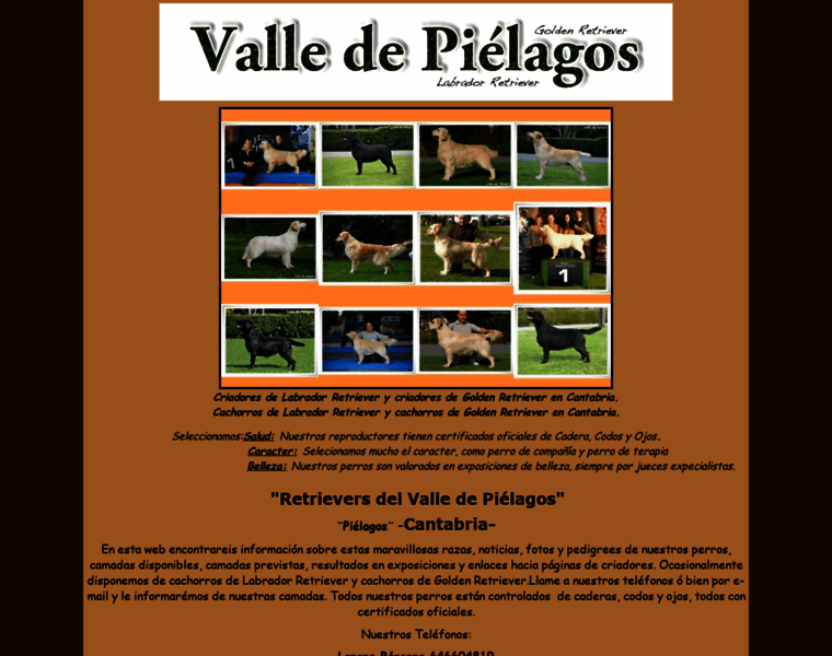 Valledepielagos.com thumbnail