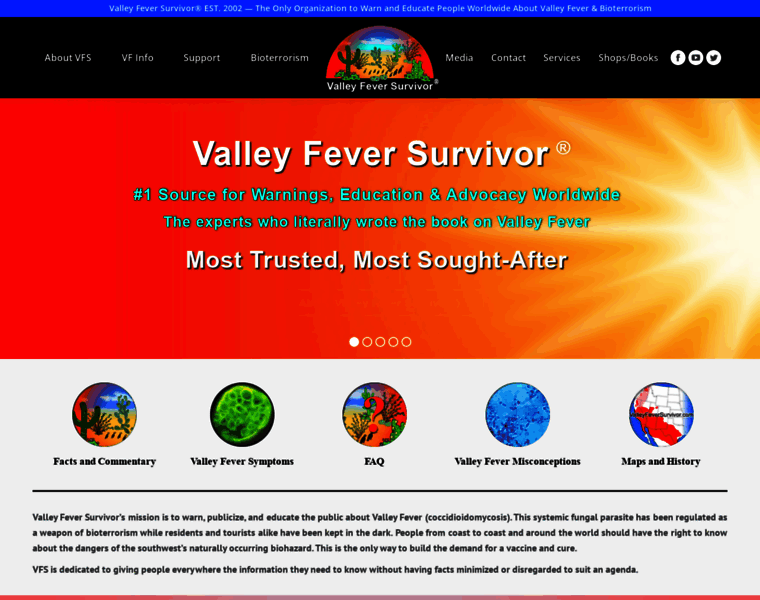 Valleyfeversurvivor.com thumbnail