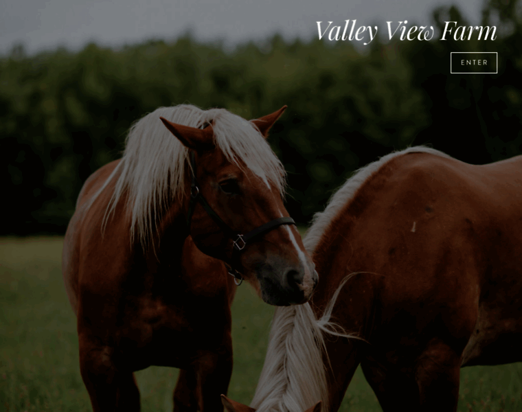 Valleyviewfarm.info thumbnail