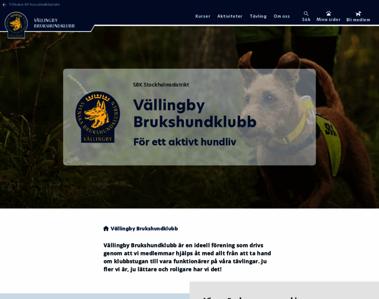Vallingbybk.se thumbnail