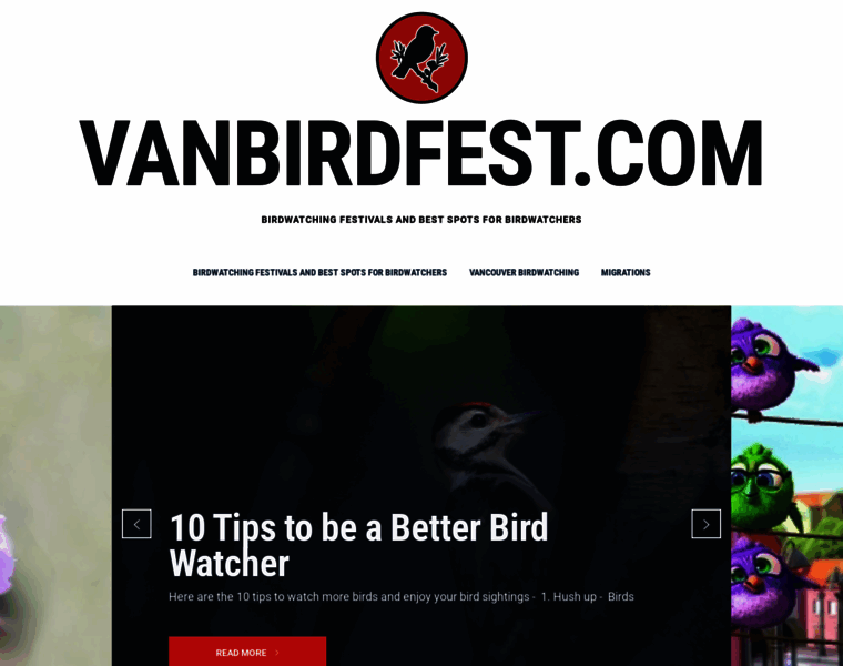 Vanbirdfest.com thumbnail