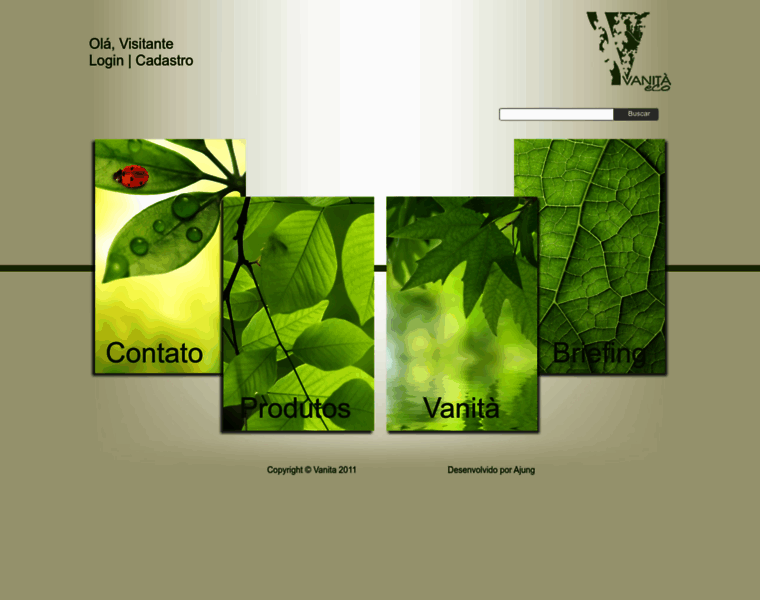 Vanita.com.br thumbnail