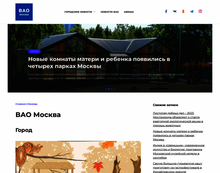Vao-moscow.ru thumbnail