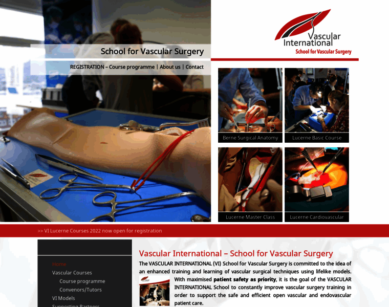 Vascular-international.org thumbnail