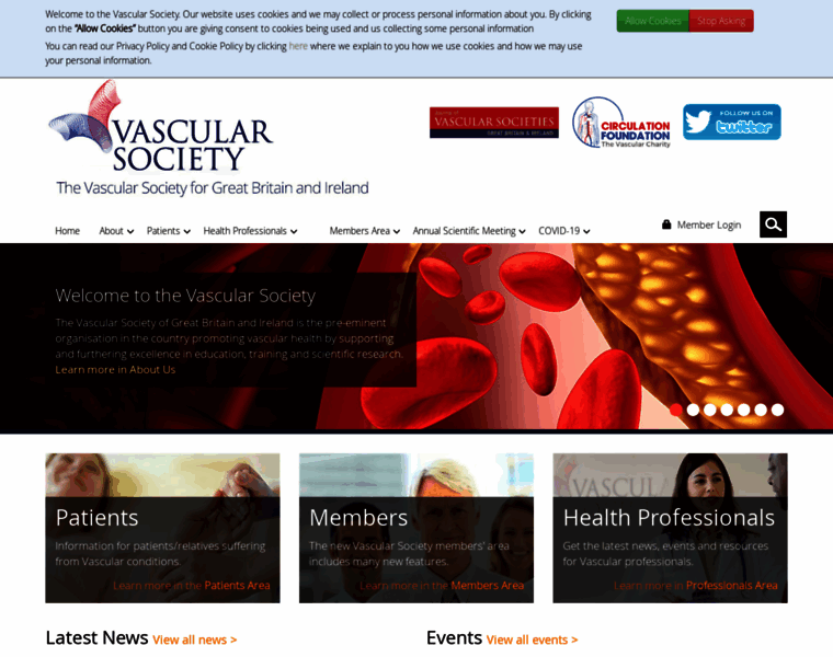 Vascularsociety.org.uk thumbnail