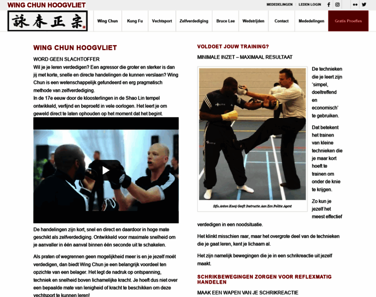 Vechtsportschoolhoogvliet.nl thumbnail