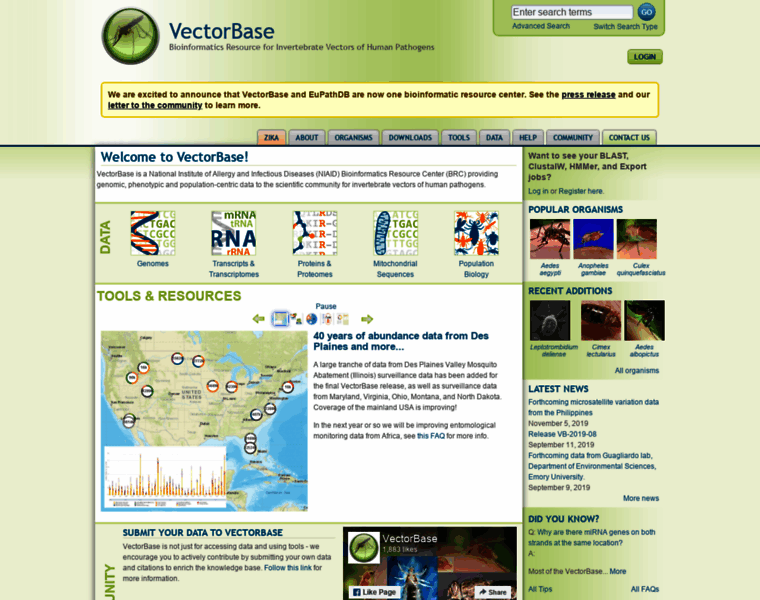 Vectorbase.org thumbnail