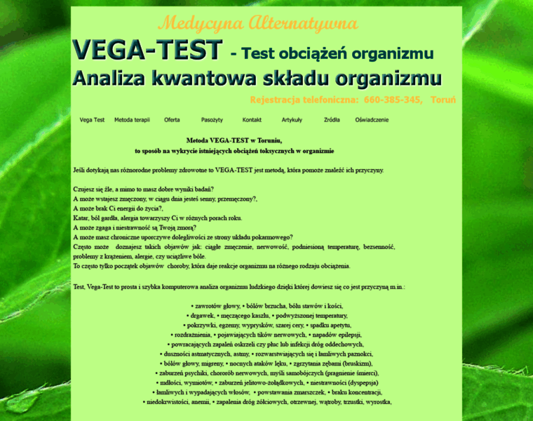 Vegatest.pl thumbnail