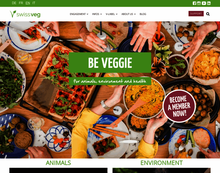 Vegetarismus.ch thumbnail